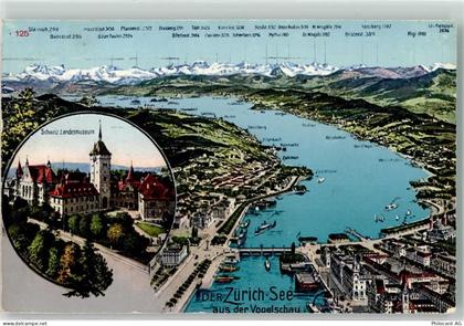 Zürichsee Passepartout Schweizer Landesmuseum Vogelschau - 39497607