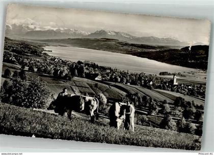 5707 Seengen 1958 Foto AK Hallwilersee - 38191284