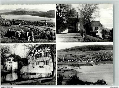 5707 Seengen Foto AK Hallwilersee Kühe Schloss - 39701579