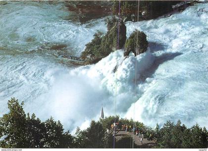 CPA Rheinfall Schweiz Orientierung uber den Rheinfall