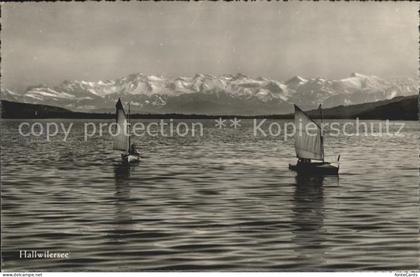 Hallwilersee mit Segelbooten und Alpen