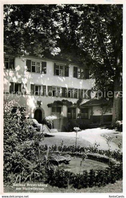 Hallwilersee Schloss Brestenberg