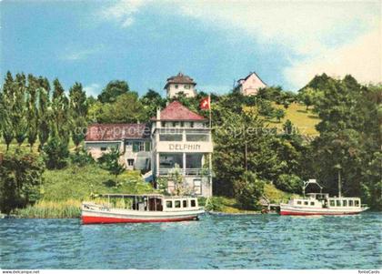 Meisterschwanden Lenzburg AG Restaurant Delphin Fahrgastschiffe Ansicht vom See