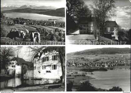 Seengen AG am Hallwilersee