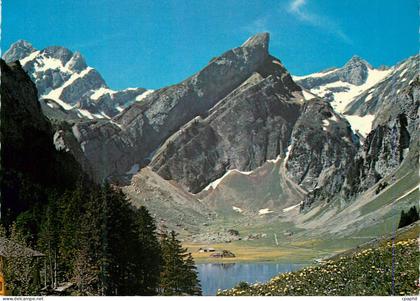 CPM Seealpsee mit Altmann Rotsteinpab Robmad und Santis