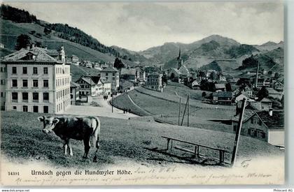 9107 Urnäsch 1906 - Urnäsch gegen die Hundwyler Höhe Kuh - 13128332