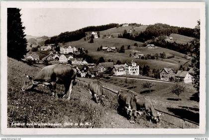 9428 Lachen - Kühe - 13160334