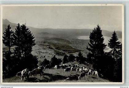 3703 Aeschi b. Spiez - Alpaufzug auf Aeschi Allmend - 10618328