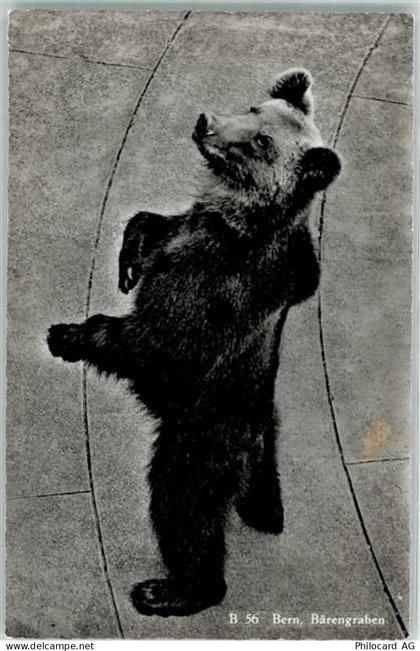 3000 Bern Berne - 10303492