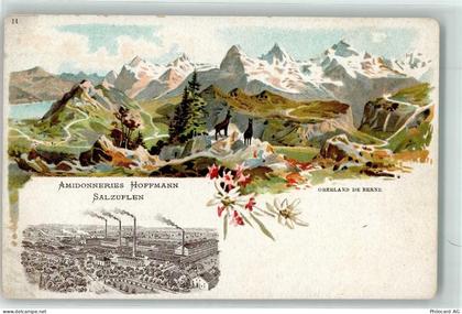 3000 Bern Berne Lithographie Oberland de Berne Amidonneries Hoffmann Sal... - 13254817