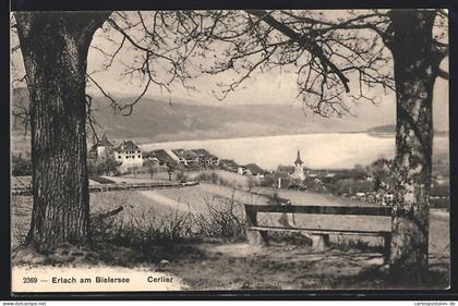 AK Erlach am Bielersee, Cerlier, Teilansicht