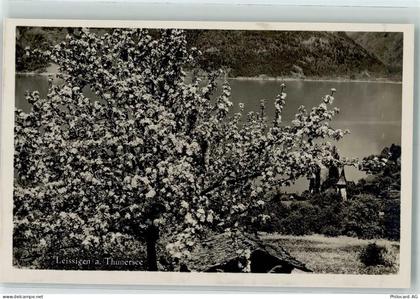 3706 Leissigen - 10304444