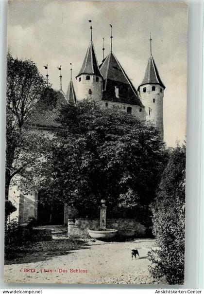 10197174 - Thun
