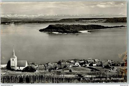 2514 Ligerz Gléresse - St. Peters Insel - 10304904