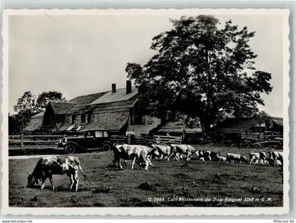 2608 Courtelary - Cafe Restaurant de Bois Raiguel Kühe - 13149095