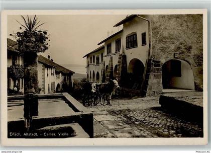 3235 Erlach - Altstadt Cerlier Vieille ville Ochsenkarren - 13113791