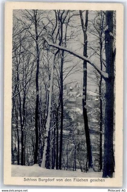 3400 Burgdorf Berthoud - Schloß Burgdorf von den Flühen gesehen - 51098026