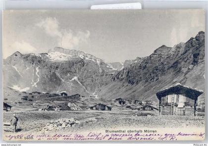 3825 Mürren - Hütten - 50659732