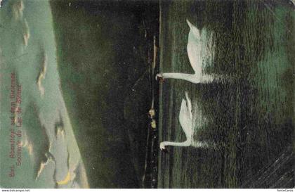 Biel Bienne BE Souvenir du Lac de Bienne