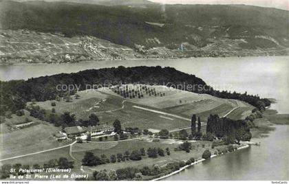 Bielerseeinsel Lac de Bienne BE Vue aerienne