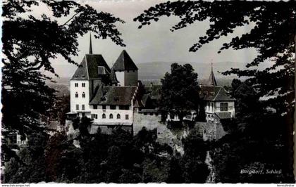 Burgdorf Schloss