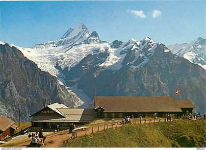 Carte Postale - Suisse - BE Berne - Grindeiwald - Firstbahn Bergstation - Schreckhorn - CPM - Carte Neuve - Voir Scans R