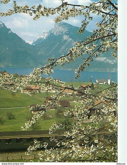 Carte Postale - Suisse - BE Berne - Spiez - Spiez et le lac de Thoune - CPM - Carte Neuve - Voir Scans Recto-Verso - Pos