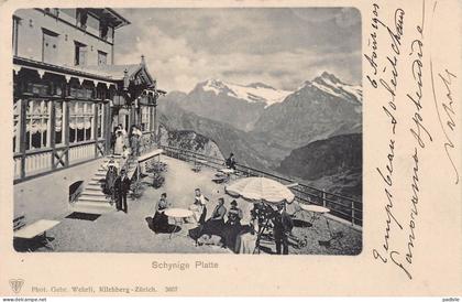 Carte postale Suisse Schynige Platte Gündlischwand  très beau plan