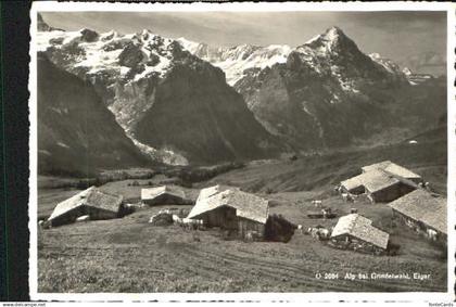 Grindelwald Alp bei Grindelwald