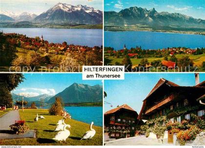 Hilterfingen Thunersee Thunersee Ortspartie Schwaene