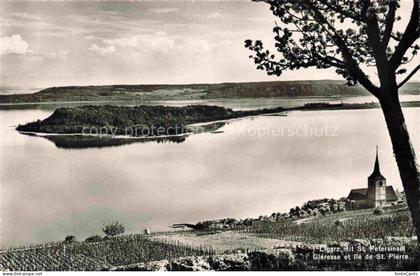 Ligerz Bielersee BE Panorama Blick auf St. Petersinsel Bielersee