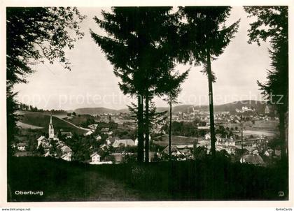 Oberburg BE Panorama