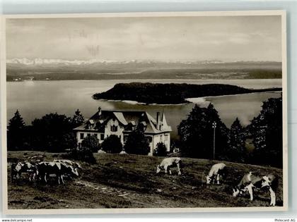 2515 Prêles FOTO KEINE AK Kühe Ort handschriftlich - 13149636