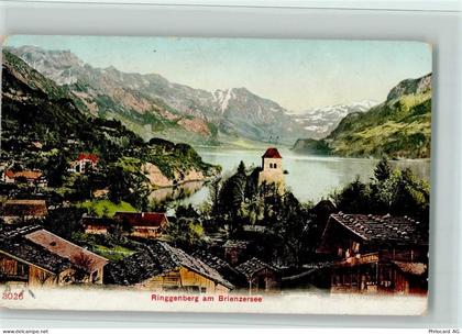 3852 Ringgenberg BE - Brienzersee - 11063946