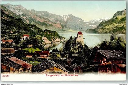 3852 Ringgenberg BE - Rothorn Brienzersee - 10607702