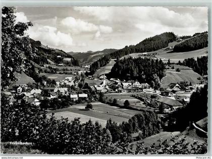 3555 Trubschachen - 10160079