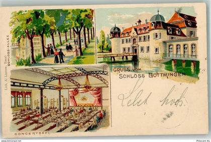 4103 Bottmingen 1903 Lithographie Schloss-Allee Concertsaal Schloss - 13650947