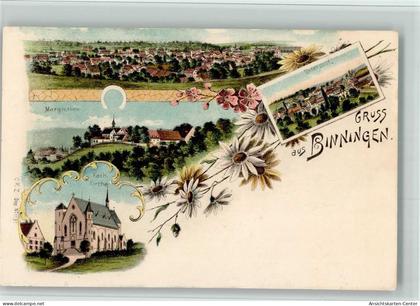 13700056 - Binningen