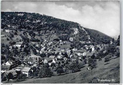 40577224 - Waldenburg