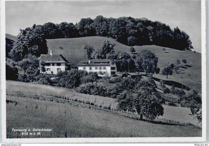 4460 Gelterkinden - Farnsburg - 50598624