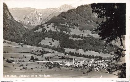 [-15%] SUISSE - Albeuve et le Moléson - Vue générale de la ville - Montagnes et forêt - Carte postale ancienne