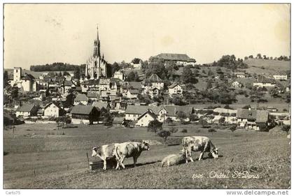 SUISSE - Châtel St-Denis