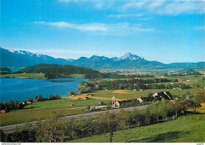 CPM Switzerland Lac de la Gruyere avec le Restoroute
