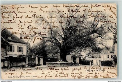 10592374 - Céligny Bossey