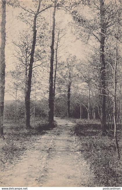 Suisse - VERNIER (GE) Le Bois de Bay - Ed. B. & F.