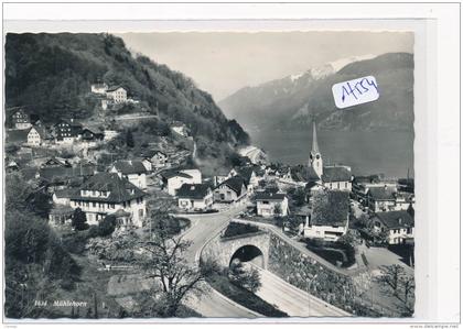 CPM GF ( carte photo)-17554- Suisse-Mühlehorn - Vue générale Livraison offerte sous condition (voir conditions de vente)