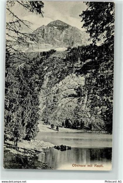 8752 Näfels - Obersee mit Rauti - 10588457