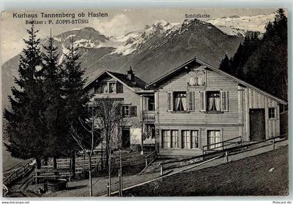 Tannenberg - Kurhaus Haslen Schildkette - 13249337