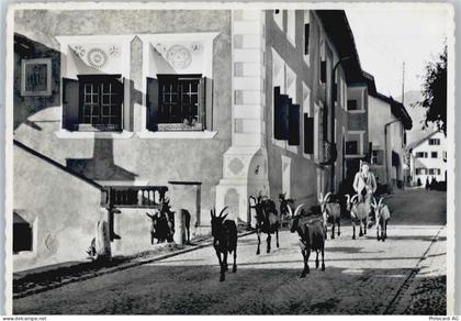 7525 S-chanf - Dorfstraße Ziege - 50565652