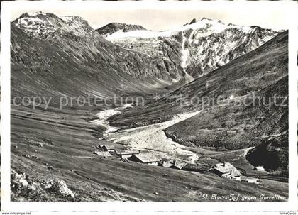 Avers mit Forcellina